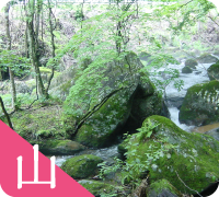 山