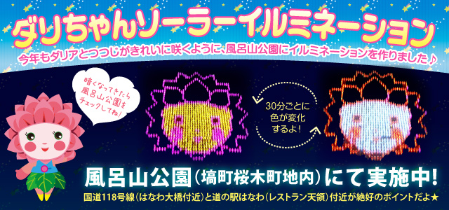 ダリちゃんイルミネーション